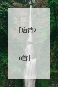 唐诗20首