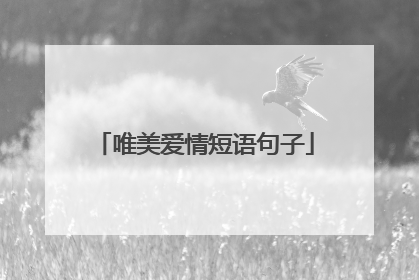 唯美爱情短语句子