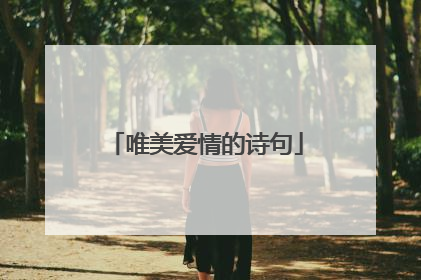 唯美爱情的诗句