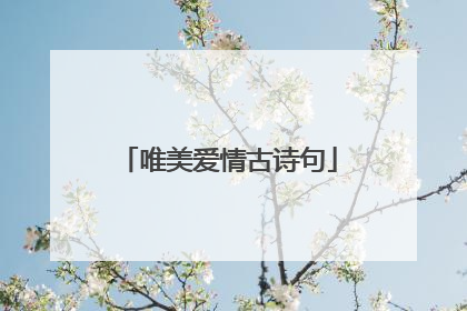 唯美爱情古诗句