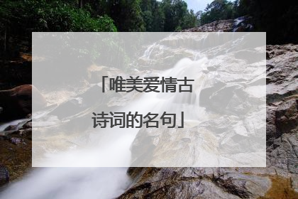 唯美爱情古诗词的名句