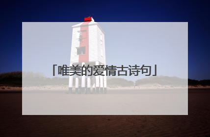 唯美的爱情古诗句