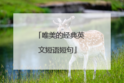 唯美的经典英文短语短句