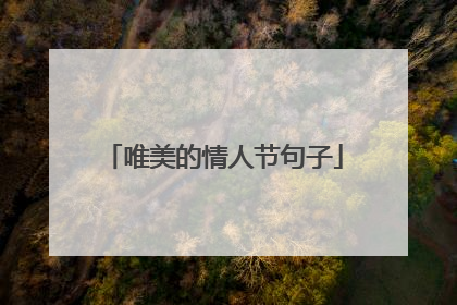 唯美的情人节句子