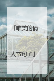 唯美的情人节句子