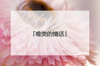 唯美的情话
