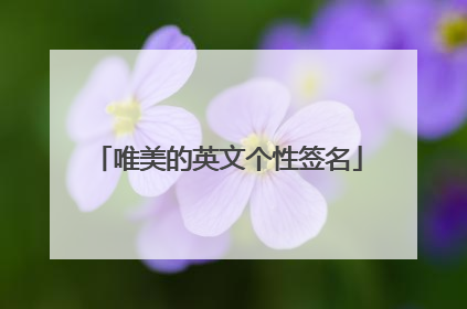 唯美的英文个性签名