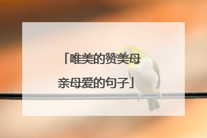 唯美的赞美母亲母爱的句子