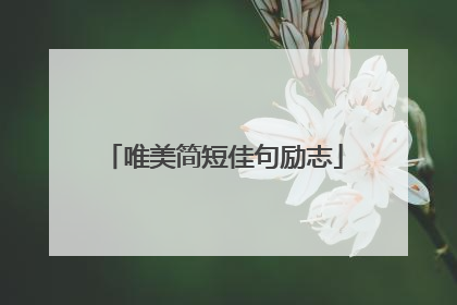 唯美简短佳句励志