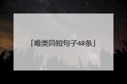 唯美简短句子48条