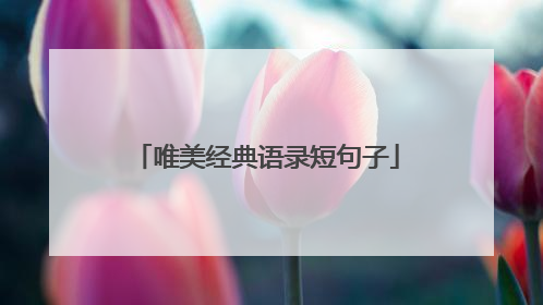唯美经典语录短句子