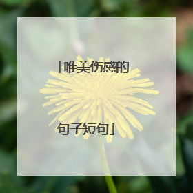 唯美伤感的句子短句