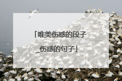唯美伤感的段子_伤感的句子