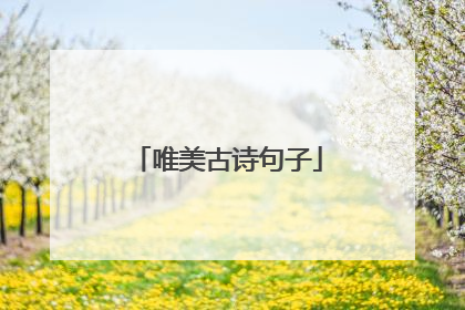 唯美古诗句子