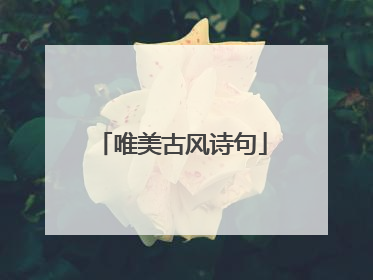 唯美古风诗句