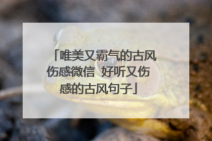 唯美又霸气的古风伤感微信 好听又伤感的古风句子