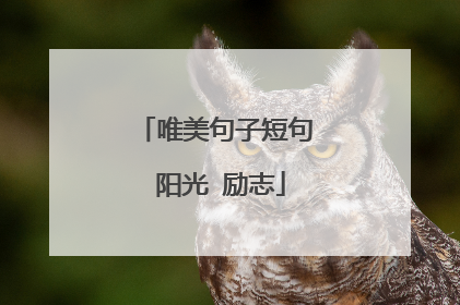 唯美句子短句 阳光 励志