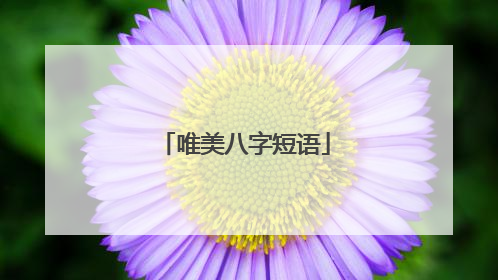 唯美八字短语