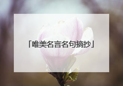 唯美名言名句摘抄