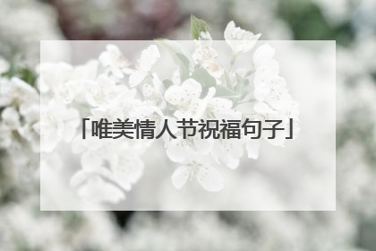 唯美情人节祝福句子