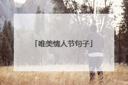 唯美情人节句子