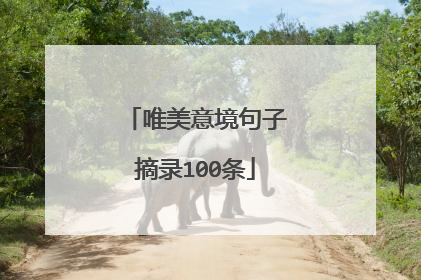 唯美意境句子摘录100条