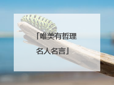 唯美有哲理名人名言