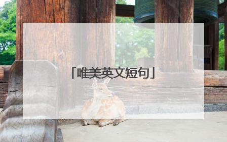 唯美英文短句