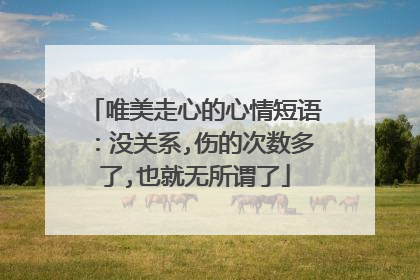 唯美走心的心情短语:没关系,伤的次数多了,也就无所谓了