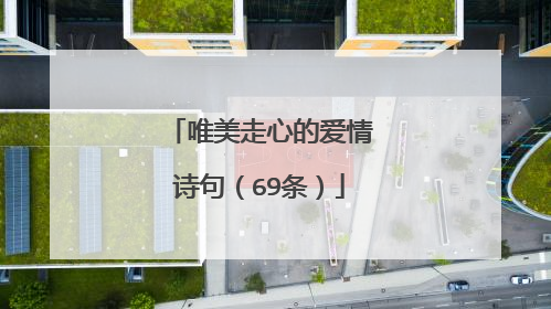 唯美走心的爱情诗句(69条)