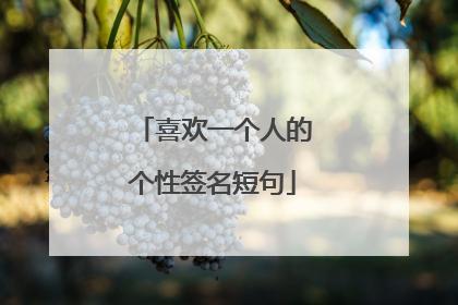 喜欢一个人的个性签名短句