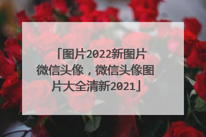 图片2022新图片微信头像,微信头像图片大全清新2021