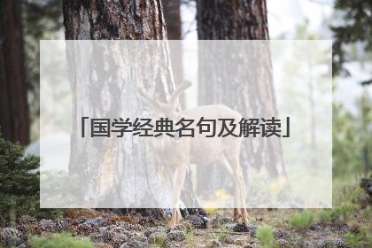 国学经典名句及解读