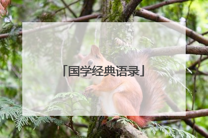 国学经典语录