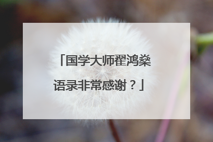 国学大师翟鸿燊语录非常感谢?
