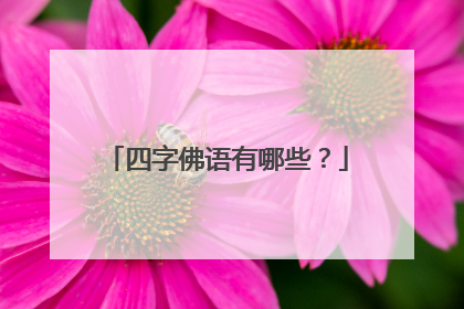 四字佛语有哪些?