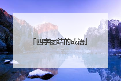 四字团结的成语