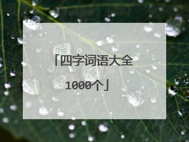 四字词语大全1000个