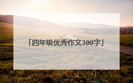 四年级优秀作文300字