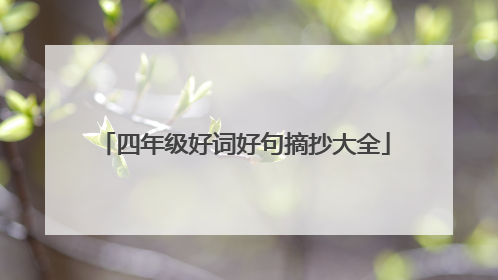 四年级好词好句摘抄大全