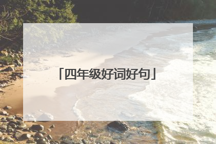 四年级好词好句