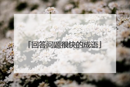 回答问题很快的成语