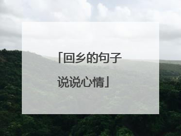 回乡的句子说说心情