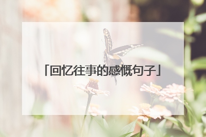 回忆往事的感慨句子