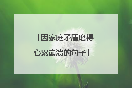 因家庭矛盾磨得心累崩溃的句子
