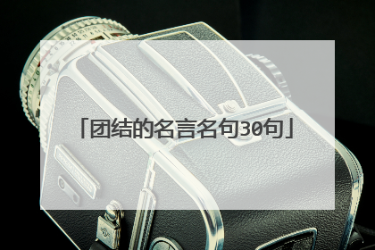 团结的名言名句30句