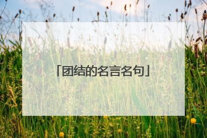 团结的名言名句