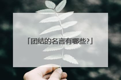 团结的名言有哪些?