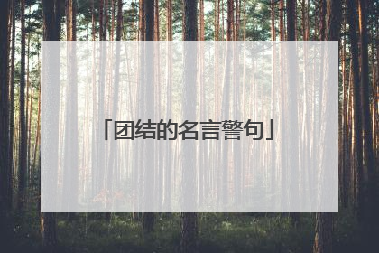 团结的名言警句
