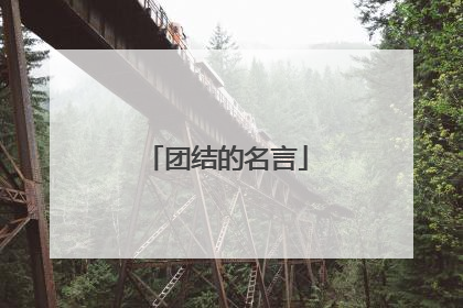 团结的名言